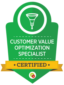 Customer Value Optimization Certification